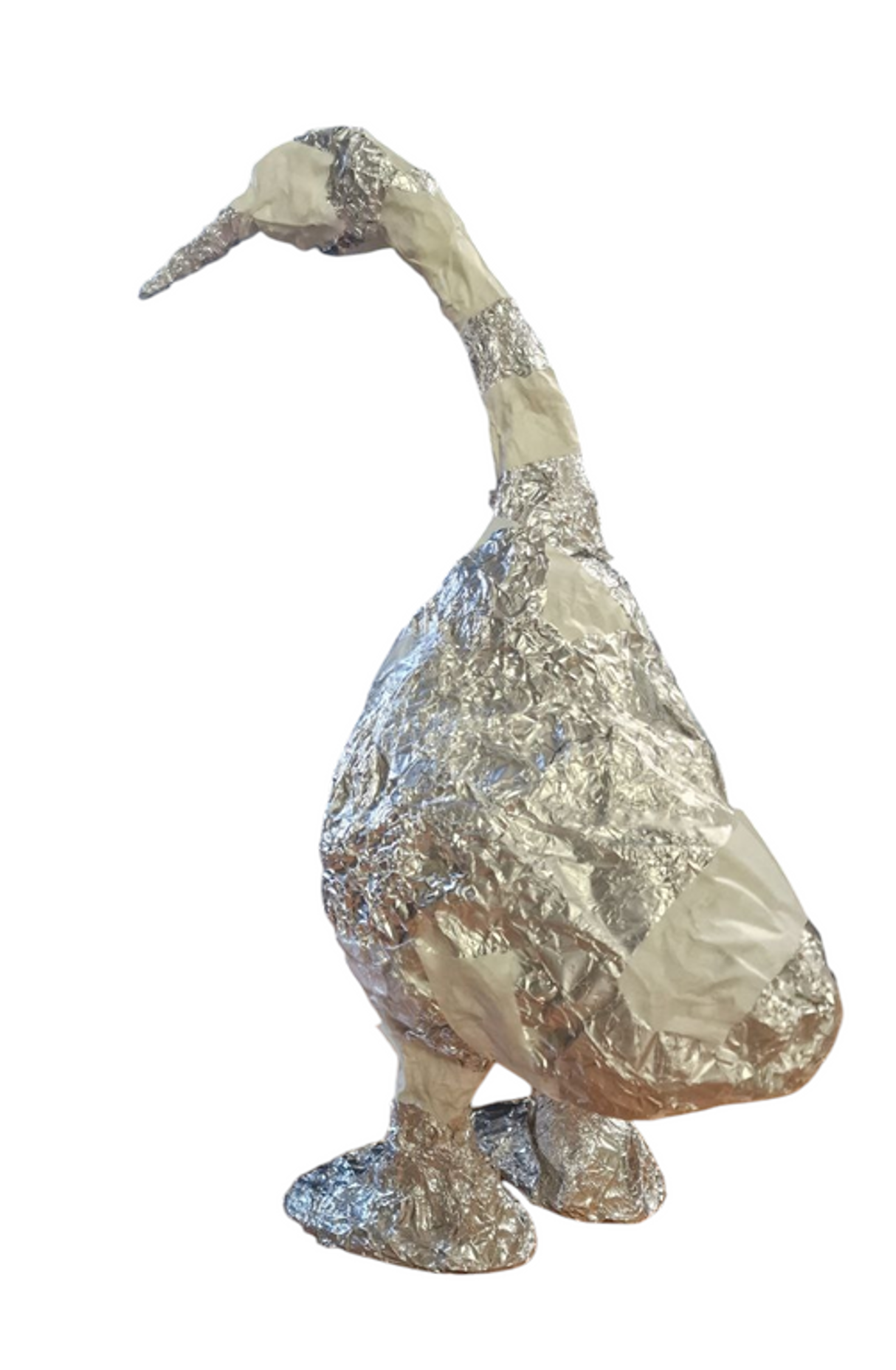 Validation image 4